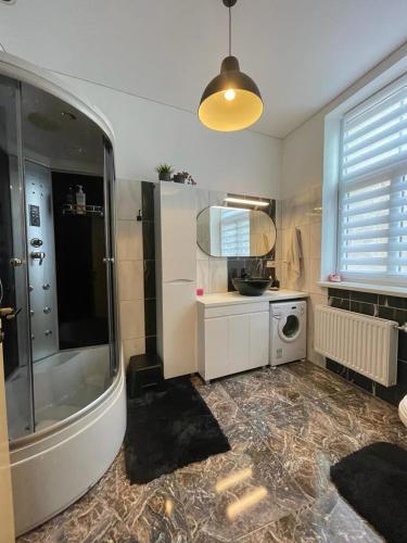 a bathroom with a shower and a sink and a washing machine at River Apartment Riga in Rīga