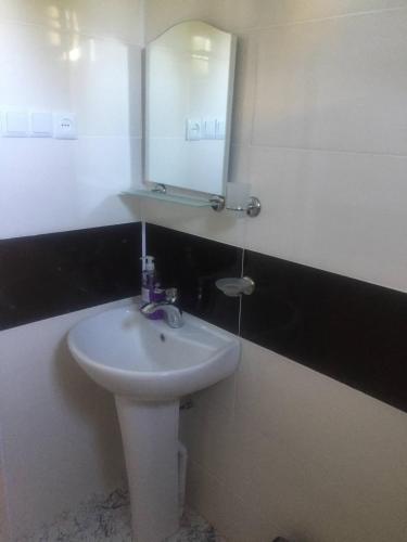 a bathroom with a white sink and a mirror at Guest House Koba in Batumi