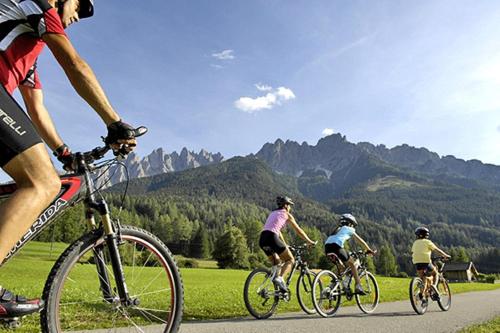Jazda na bicykli v okolí ubytovania B&B Villa Dolomites Hut