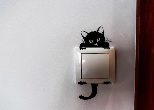 a black cat is sitting on top of a lightswitch at Casa Rural Burón in Posada de Valdeón