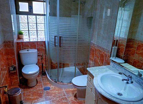 a bathroom with a toilet and a shower and a sink at Casa Rural Burón in Posada de Valdeón