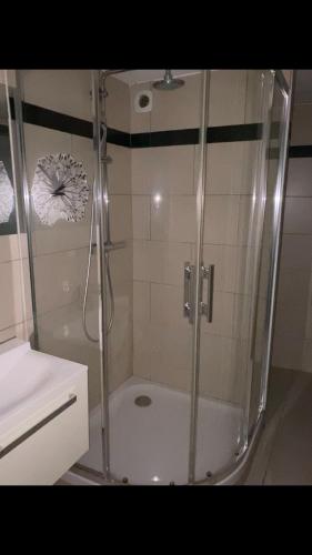 La salle de bains est pourvue d'une douche avec une porte en verre. dans l'établissement Appartement calme centre ville historique, à Ussel
