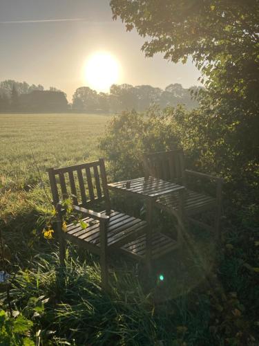 two wooden benches sitting in a field with the sunset at Hoeve de Snippert in Groenlo
