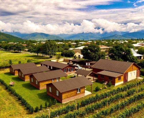 an aerial view of a village with houses and vineyards at Finca Idoize Camping Hotel in Akhmety