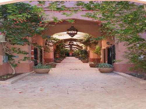 an empty hallway with plants in a building at Riad Lalla Zahra in Marrakesh