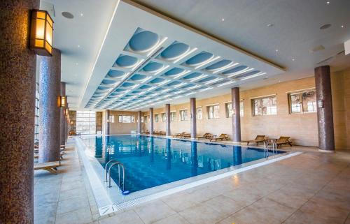 舍基的住宿－舍奇皇宮酒店，一座大型游泳池,位于一座带大窗户的建筑内
