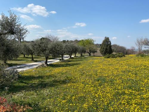 Belle Marche – Photos 3