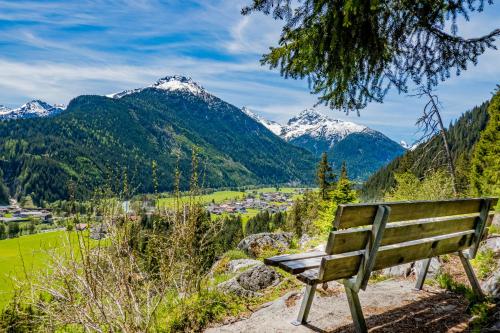 a park bench overlooking a valley with snow capped mountains at Pension Elmerhof in Elmen
