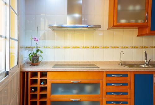 uma cozinha com um lavatório e uma bancada em DUPLEX EN EL CENTRO DE GALDAR em Gáldar