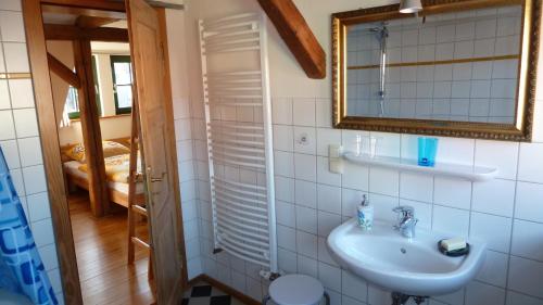 ein Bad mit einem Waschbecken und einem Spiegel in der Unterkunft Ferienwohnung am Erfurter Dom in Erfurt