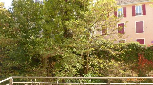 a group of trees in front of a building at Suite 22 in Aix-les-Bains