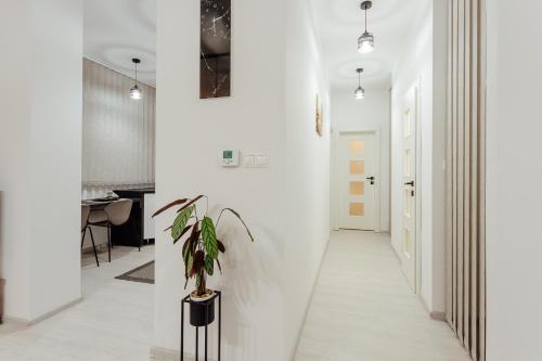 a hallway with white walls and a potted plant at Apartmán vo vile Kammergraf in Banská Štiavnica
