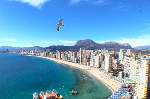 Don Miguel II 18-G Levante Beach