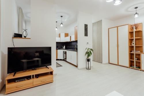 a living room with a flat screen tv on a wooden entertainment center at Apartmán vo vile Kammergraf in Banská Štiavnica