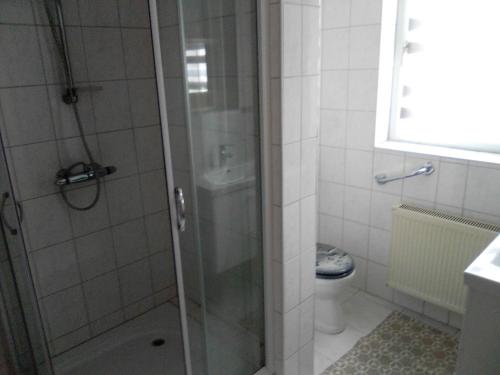 a bathroom with a shower and a toilet at Harzhaus in Wienrode