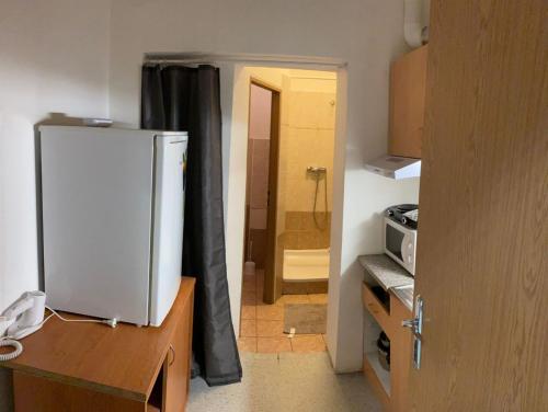 TV a/nebo společenská místnost v ubytování Apartmans v arealu Vlnena