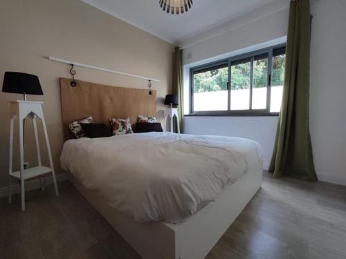 City Apartament