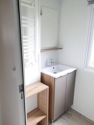 une petite salle de bain avec un lavabo et un miroir dans l'établissement Bungalow cosy en campagne à Onzain avec piscine partagée, à Onzain