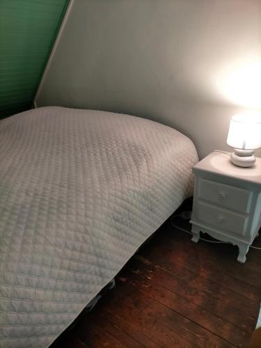 a bed and a nightstand with a lamp on it at Pré Le Duc in Broglie