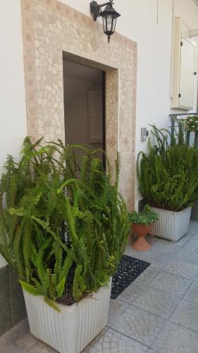 three potted plants sitting in front of a building at Lamezia Park Apartments in Lamezia Terme