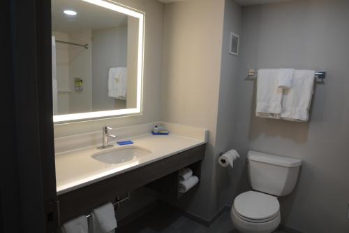 een badkamer met een wastafel, een toilet en een spiegel bij Holiday Inn Express Athens, an IHG Hotel in Athens