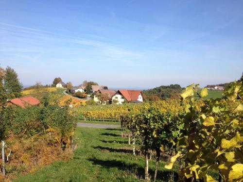a view of a vineyard with houses in the background at Weingut Schwarzl in Ratsch an der Weinstraße