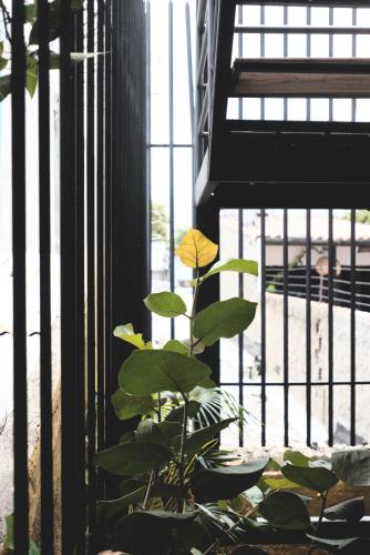 a plant in front of a window with bars at La Casa del Totumo in Santa Marta
