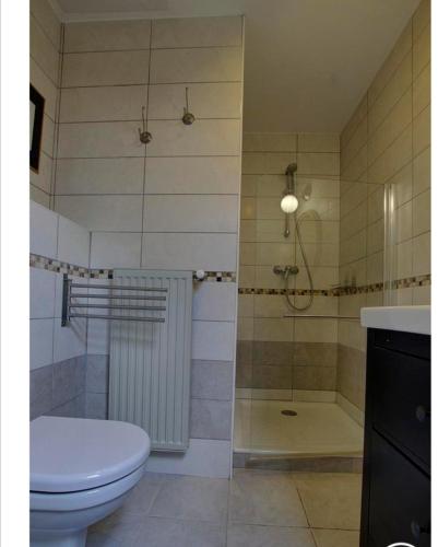 a bathroom with a toilet and a shower at Chambres d'hôtes Les Vignes in Montcet