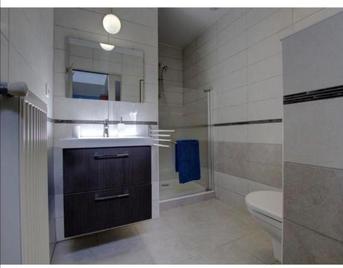 y baño con lavabo, aseo y ducha. en Chambres d'hôtes Les Vignes, en Montcet
