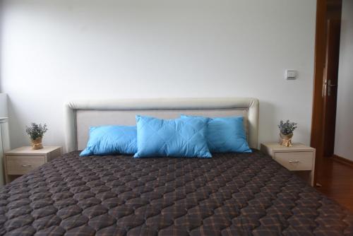 Ένα ή περισσότερα κρεβάτια σε δωμάτιο στο Apartman Kentaur Vrnjačka Banja
