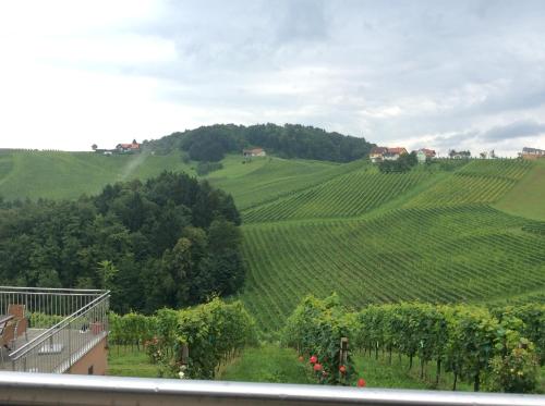 a view of a green vineyard from a house at Zweytick Gästezimmer Weingut in Ratsch an der Weinstraße