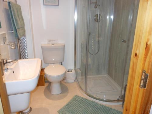 a bathroom with a shower and a toilet and a sink at Orkneyinga in Kirkwall