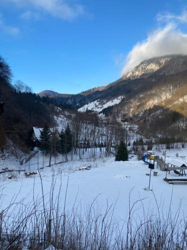 Landskap semula jadi dekat dengan chalet