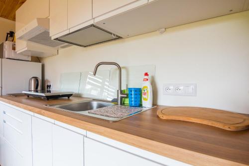 Afbeelding uit fotogalerij van LandsBy Apartments in Ostrów Warcki