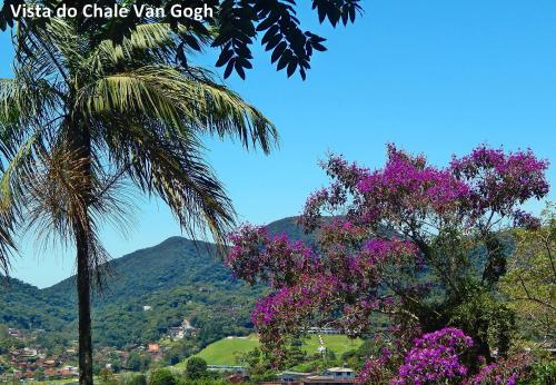 palma i fioletowe kwiaty przed górą w obiekcie Chalés Van Gogh w mieście Teresópolis