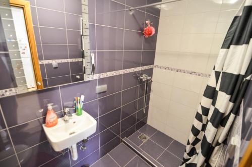 un baño con lavabo y espejo en Blacksmith Apartment + Free Private Parking, en Sarajevo
