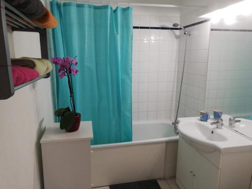 ein Badezimmer mit einem blauen Duschvorhang und einem Waschbecken in der Unterkunft Les jardins de Theo in Hasnon