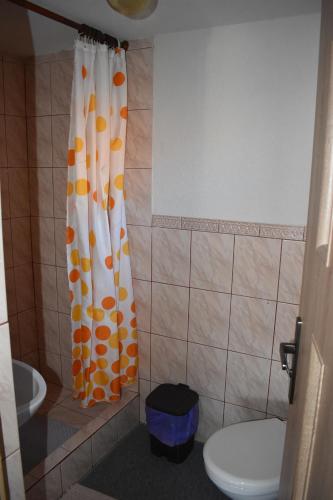 a bathroom with a shower curtain and a toilet at Penzion Janka in Habovka