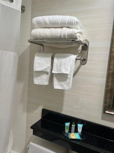 un baño con toallas blancas en un toallero. en GWB Hotel en Bronx