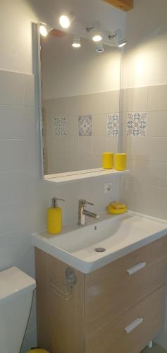 une salle de bain avec un lavabo et un miroir et des toilettes dans l'établissement Maison de vacances 300 m de la mer proche forêt, à Saint-Hilaire-de-Riez
