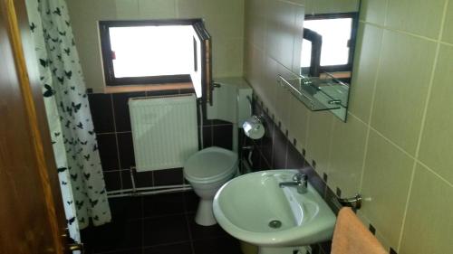 a bathroom with a sink and a toilet and a window at Pensiunea Adi Sapinta in Săpânța
