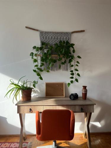 una mesa de madera con plantas en la pared en Vándor Apartman, en Veszprém