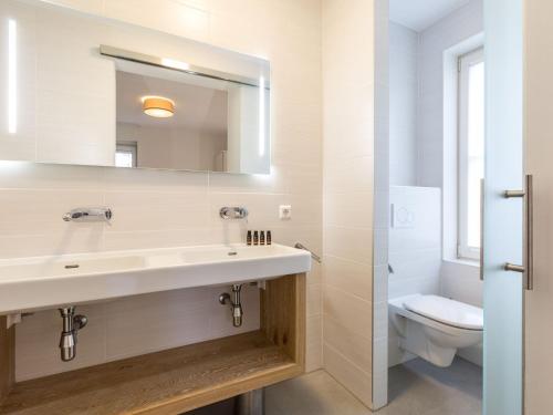 a bathroom with a sink and a toilet at Villa in Friesland with Sauna and Whirlpool in Delfstrahuizen