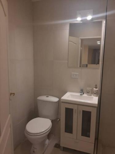 La salle de bains blanche est pourvue de toilettes et d'un lavabo. dans l'établissement YOPEN Monoambiente, à Ushuaia