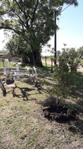 La Casita de Juan – Photos 2