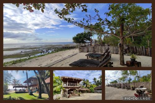 a collage of photos of a beach with a tree at Sabas Beach and Campsite in Siquijor