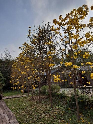 Jardín al aire libre en 蓬萊生態農場仙山民宿