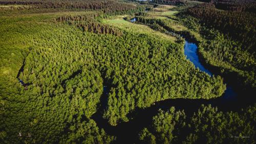 an aerial view of a river in a forest at Villa Marina in Augustów