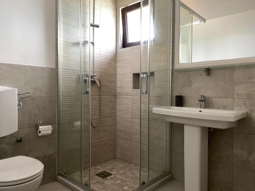 a bathroom with a shower and a toilet and a sink at Lake River House Ada Bojana in Ulcinj