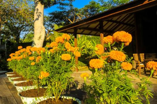 Un jardín fuera de Chanteak Bali - Teak House 2